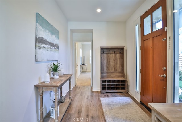entrance foyer with baseboards, wood finished floors, a healthy amount of sunlight, and recessed lighting
