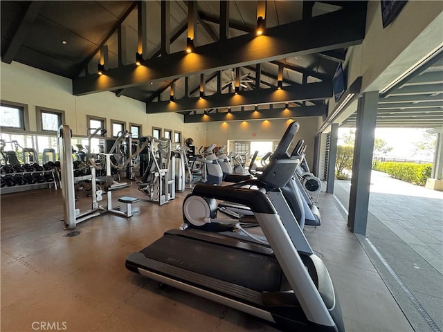 gym featuring high vaulted ceiling
