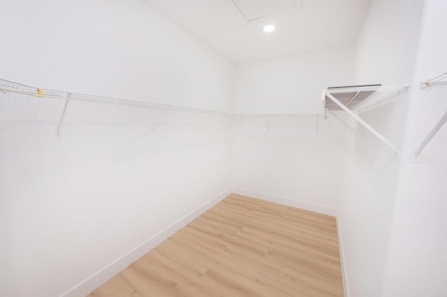 walk in closet with light wood-type flooring