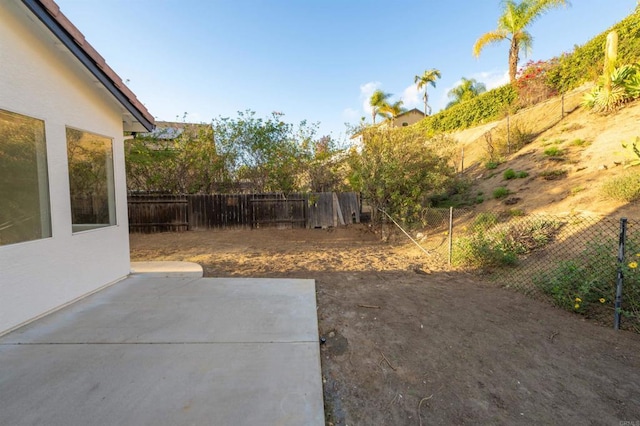 view of yard with a fenced backyard and a patio