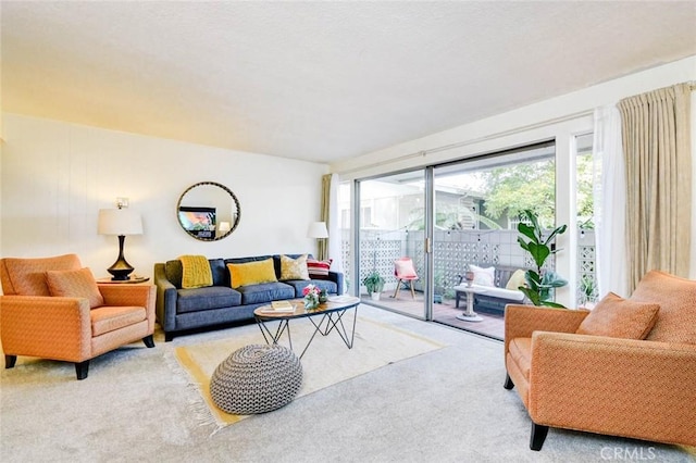 view of carpeted living area