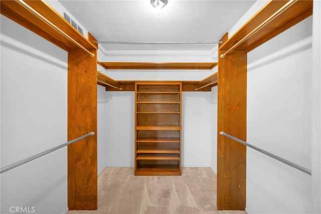 spacious closet featuring carpet flooring