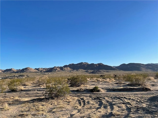 1234 Rice Ave, Joshua Tree CA, 92252 land for sale