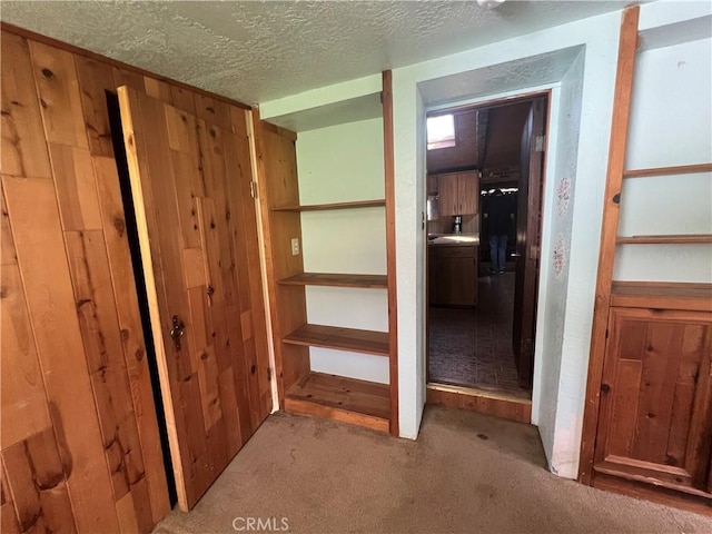 interior space featuring a textured ceiling, carpet floors, and wood walls