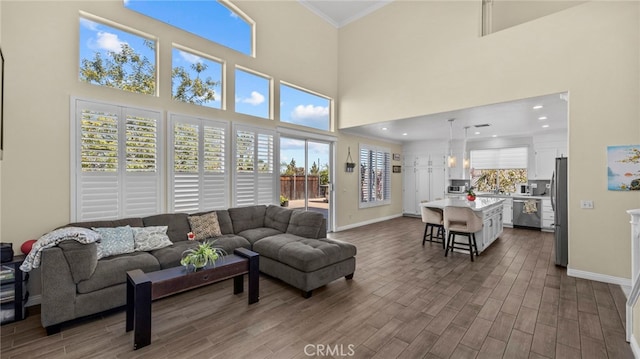 living area with baseboards, dark wood finished floors, and a wealth of natural light