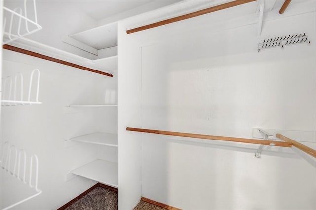 spacious closet featuring carpet