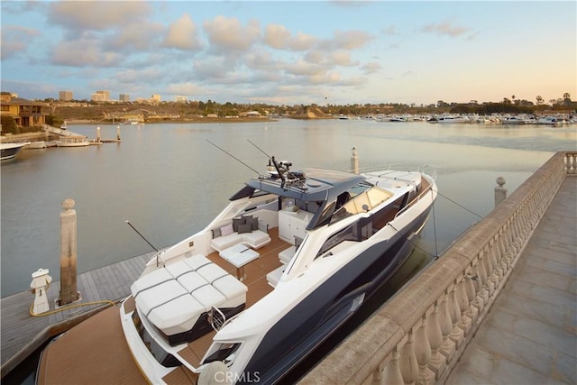 dock area featuring a water view