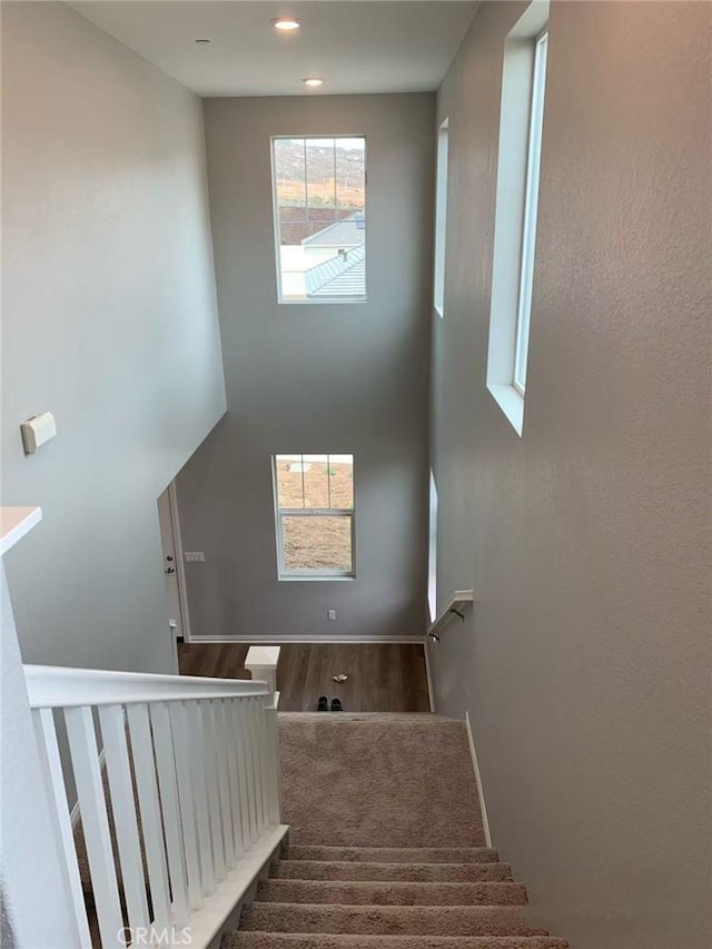 stairway featuring a high ceiling and wood finished floors