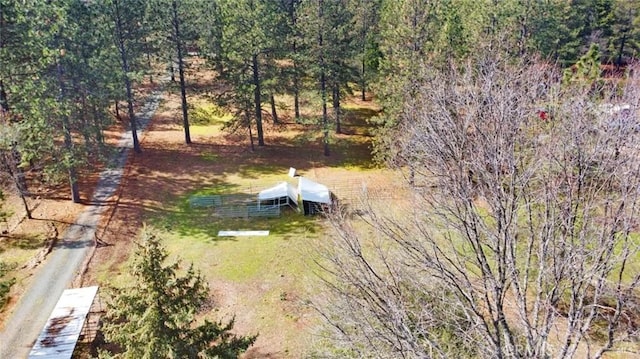 drone / aerial view with a forest view