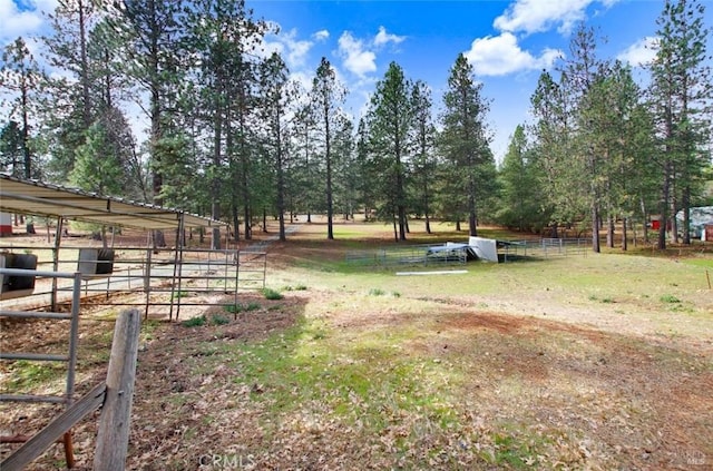 view of yard with an exterior structure and an outdoor structure