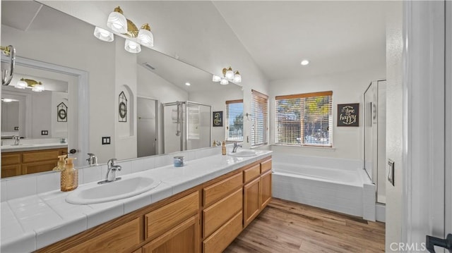 bathroom featuring a sink, double vanity, and a shower stall