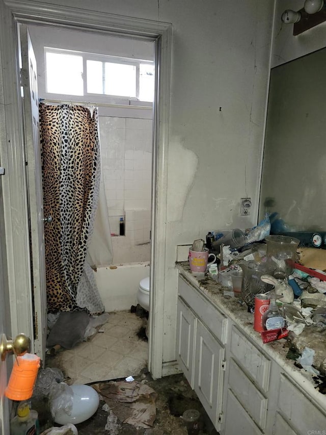 full bathroom with toilet and vanity