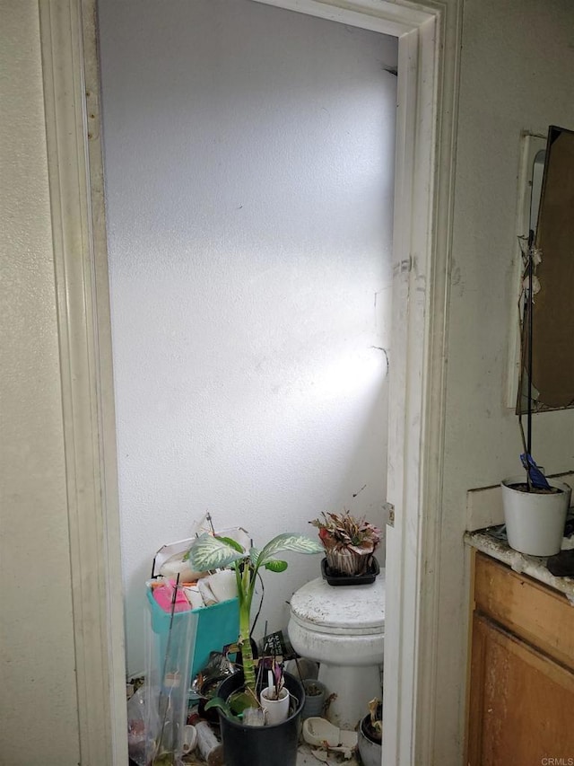 bathroom with toilet and vanity