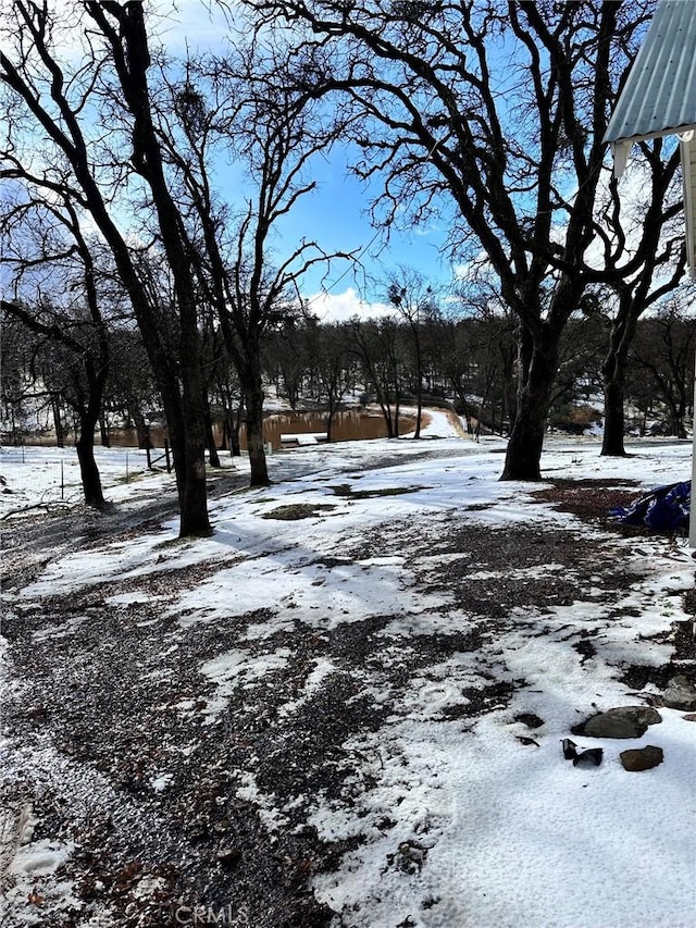 view of yard layered in snow
