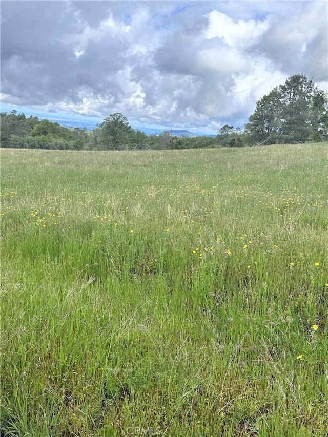 view of landscape with a rural view