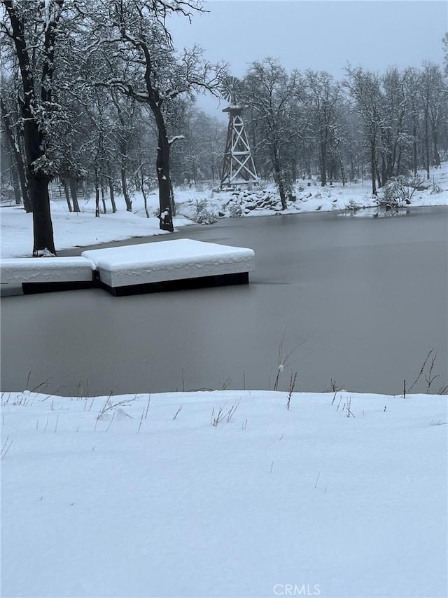 view of snowy yard