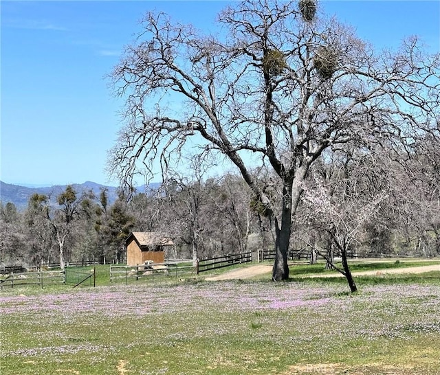 view of property's community featuring a rural view, fence, a forest view, and a mountain view