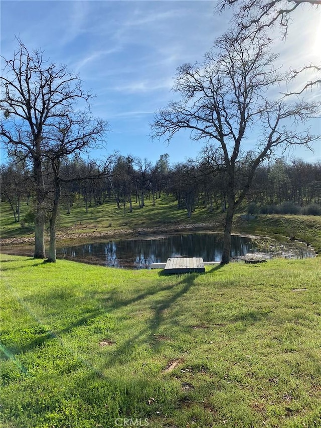 view of yard with a water view