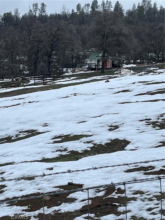 view of yard covered in snow