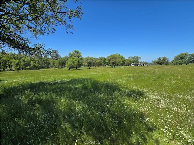 view of local wilderness featuring a rural view