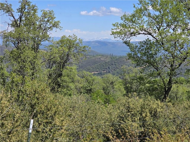 mountain view with a view of trees