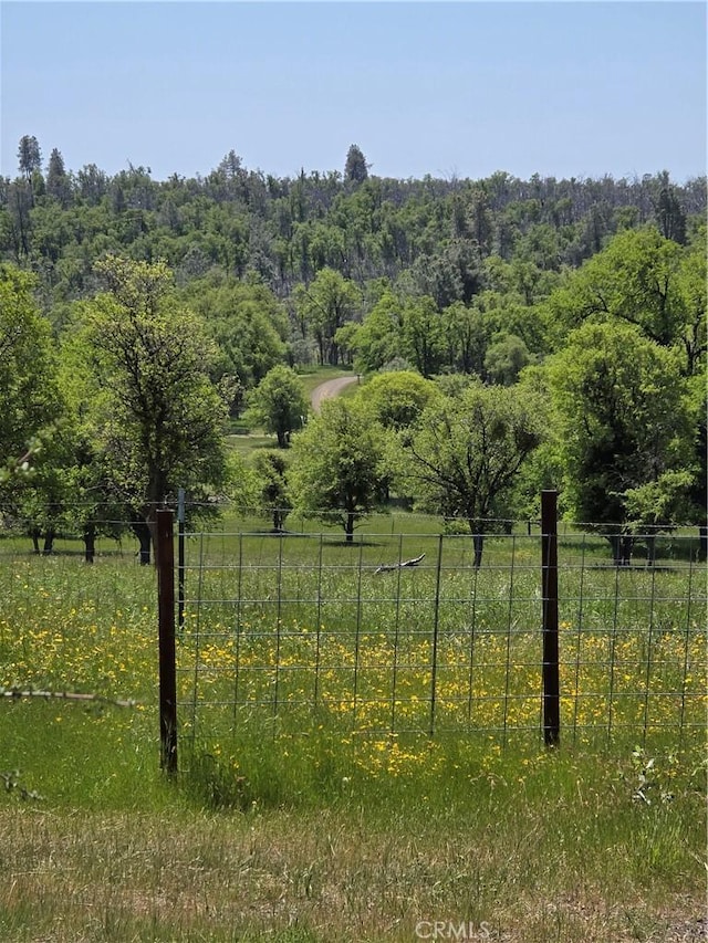 view of nature with a wooded view