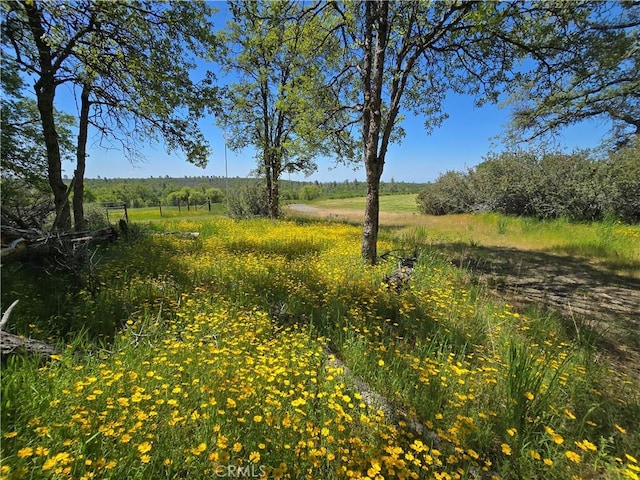 view of yard featuring a rural view