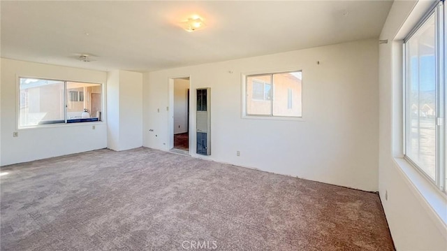 unfurnished bedroom with carpet flooring