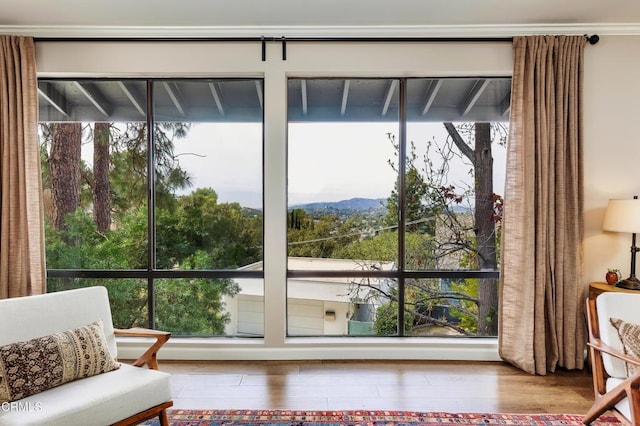 interior space featuring wood finished floors and a mountain view