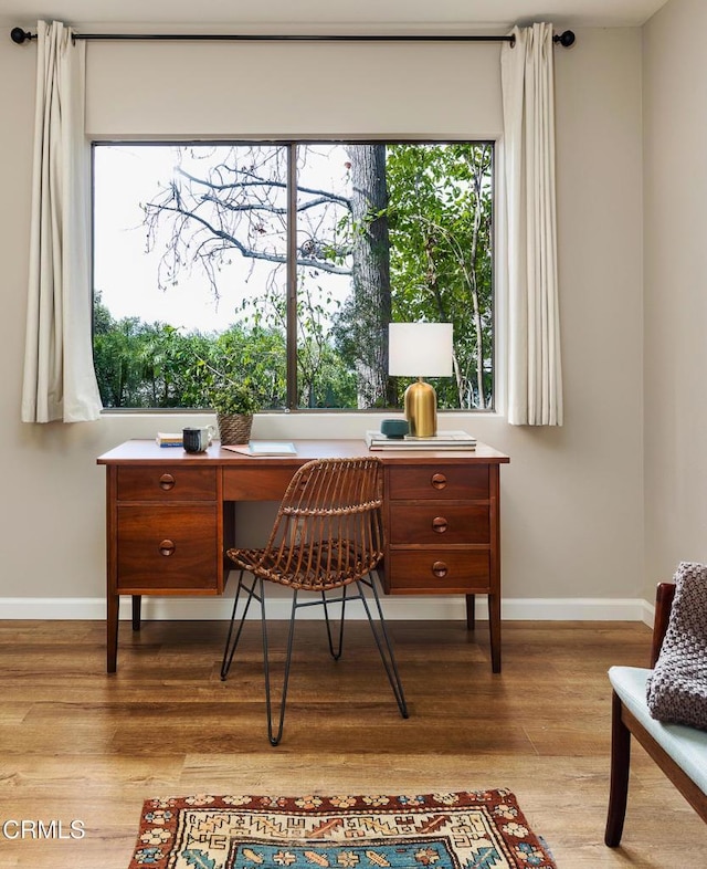 office featuring baseboards and wood finished floors