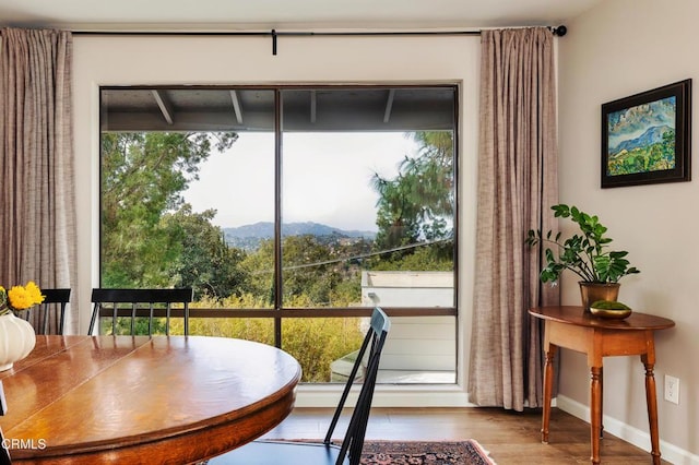 doorway to outside with baseboards, a mountain view, and wood finished floors