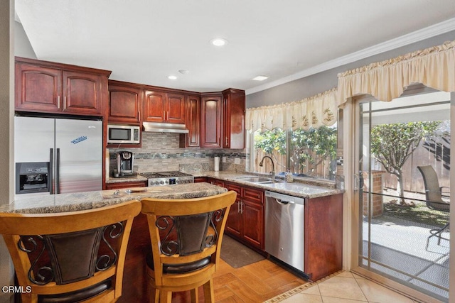 kitchen featuring backsplash, appliances with stainless steel finishes, a sink, dark brown cabinets, and under cabinet range hood