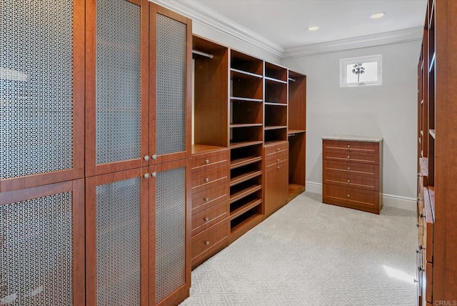 walk in closet with light colored carpet