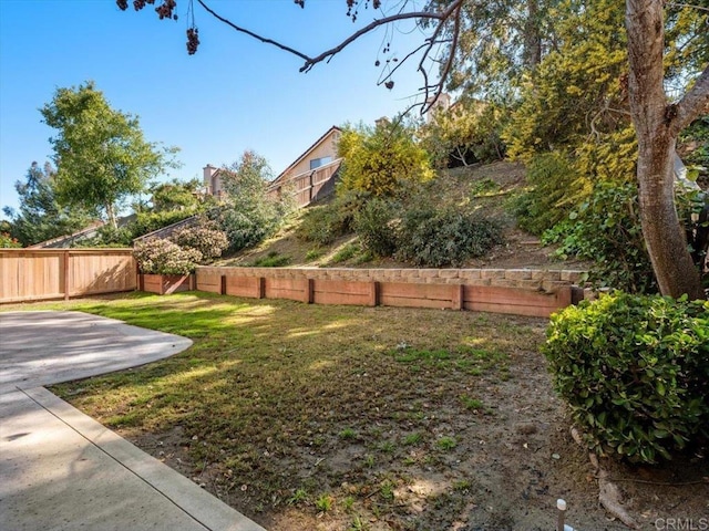 view of yard featuring a patio and fence