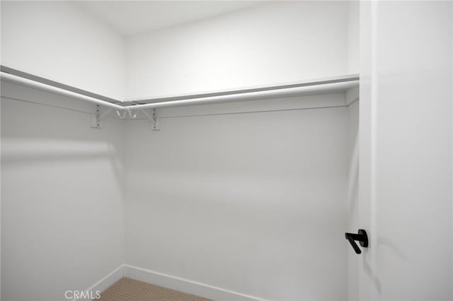 walk in closet with carpet flooring