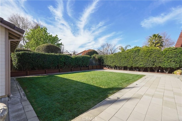 view of yard with a patio area and a fenced backyard