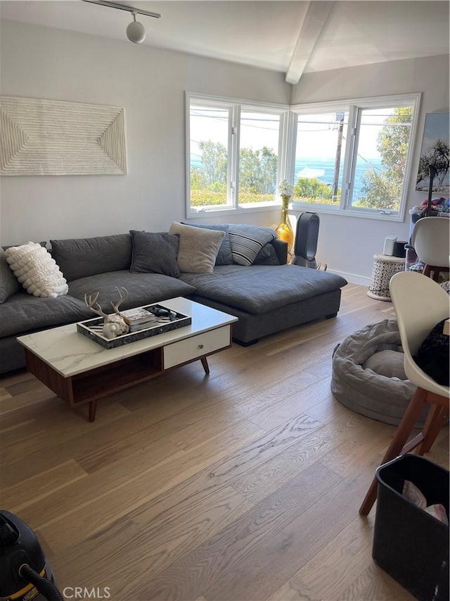 living room with plenty of natural light, wood finished floors, and beamed ceiling