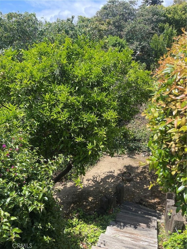 view of nature