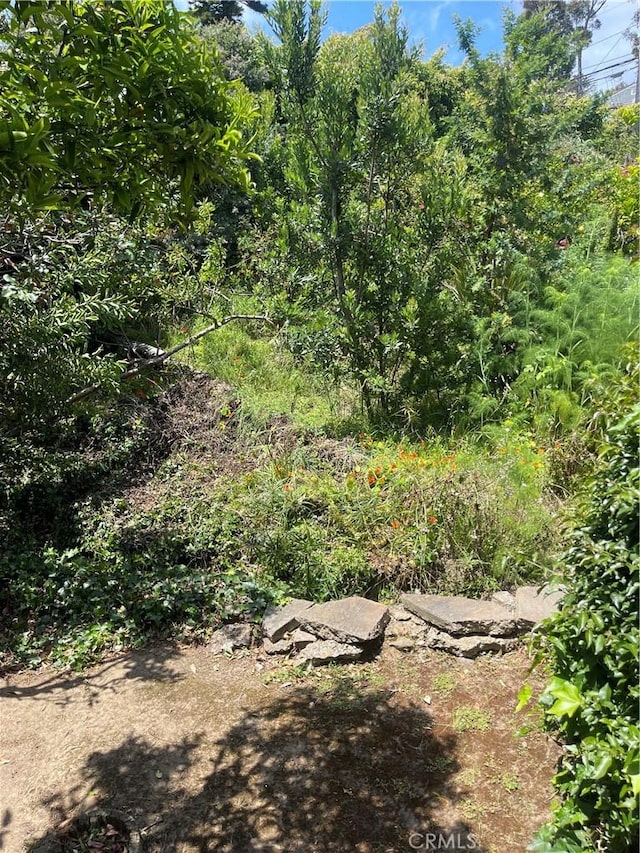 view of local wilderness