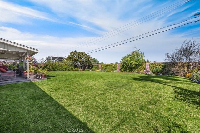 view of yard with a patio area and a fenced backyard