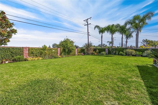 view of yard with a fenced backyard