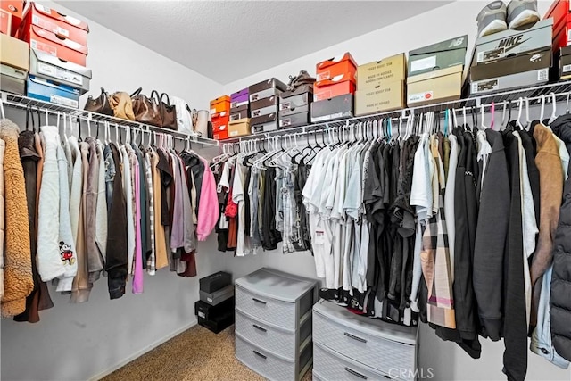 spacious closet featuring carpet