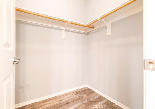 spacious closet with wood finished floors