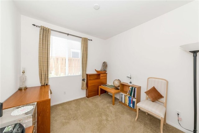 sitting room featuring light carpet