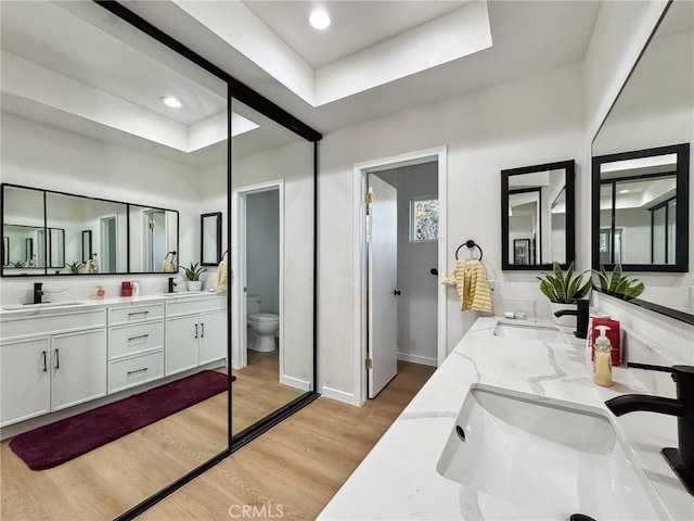 bathroom with a raised ceiling, a sink, and wood finished floors