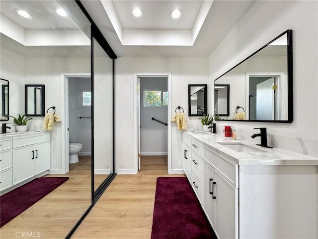 bathroom featuring double vanity, toilet, wood finished floors, a tray ceiling, and a sink