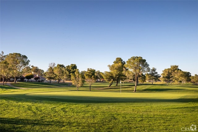 15167 Orchard Hill Ln, Helendale, CA 92342