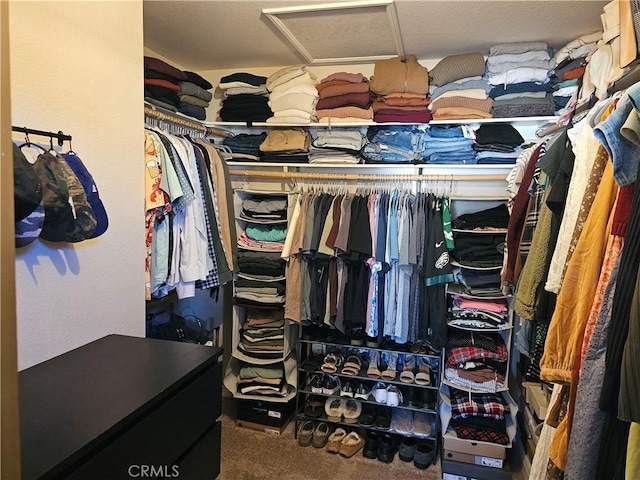 spacious closet with carpet and attic access