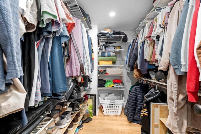 walk in closet featuring wood finished floors