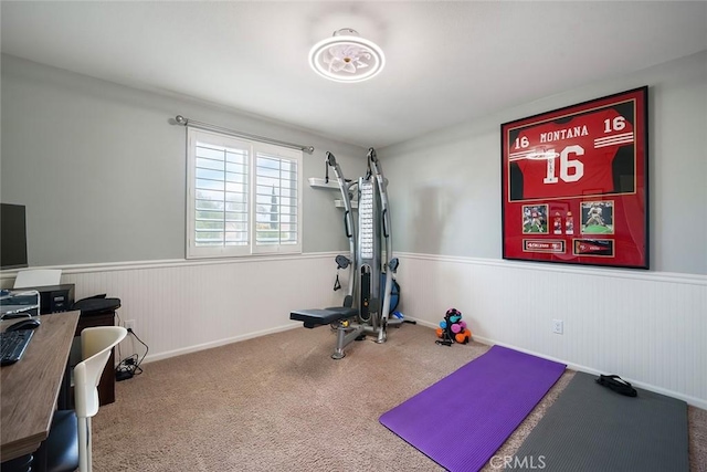 exercise area featuring carpet floors and wainscoting